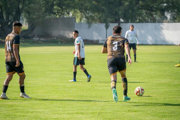 消费复苏明显，文旅与节庆经济持续升温