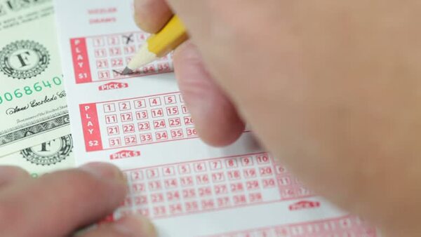 彩票系统完成升级，开奖流程更加透明